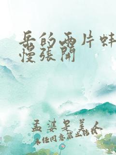 岳的两片蚌肉慢慢张开