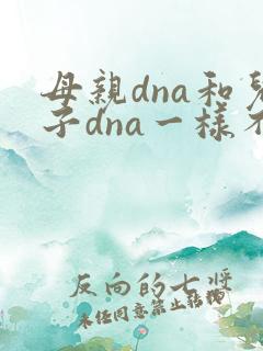母亲dna和儿子dna一样不