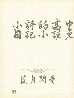 小诗的高中成长日记小说免费阅读