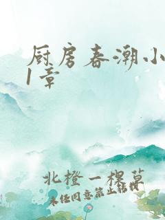 厨房春潮小说第1章