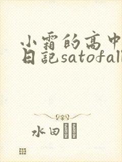 小霜的高中成长日记satofall