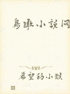 鸟瞰小说网