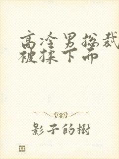 高冷男总裁憋尿被揉下面