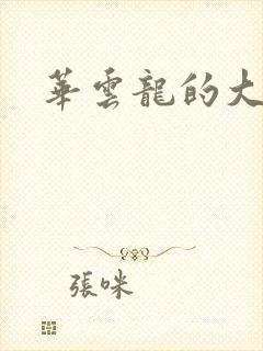 华云龙的大宝贝