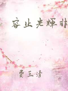 容止光辉非世人