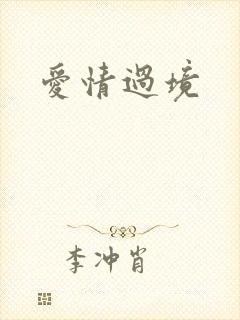 爱情过境