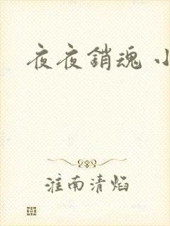 夜夜销魂 小说