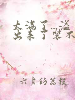 太满了...溢出来了装不下了