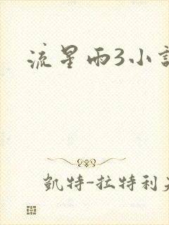 流星雨3小说