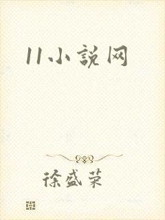 11小说网
