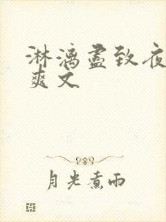 淋漓尽致夜晚小爽文