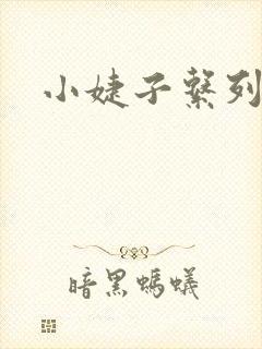 小婕子系列小说