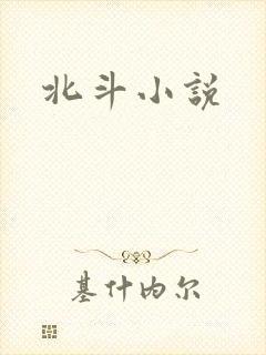 北斗小说