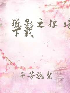 猎影之狼 暗夜下载