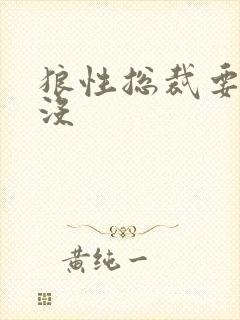 狼性总裁要够了没