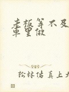 老板等不及了在车里做