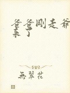 爸爸刚走爷爷就来了