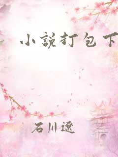 小说打包下载