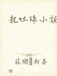 龙吐珠小说