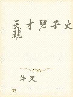 天才儿子火爆娘亲