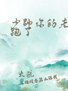 少帅你的老婆又跑了