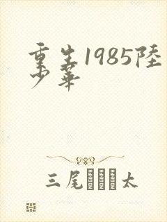 重生1985陆少华