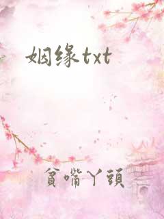 姻缘txt