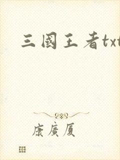 三国王者txt