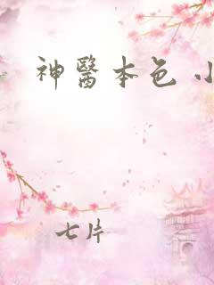 神医本色 小说