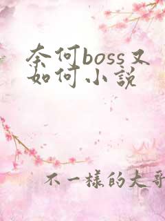 奈何boss又如何小说