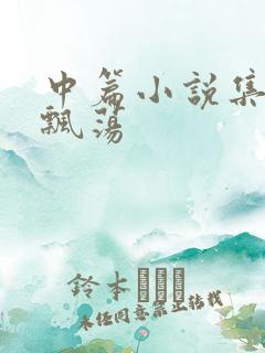 中篇小说集随风飘荡