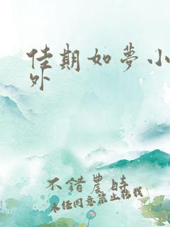 佳期如梦小说番外