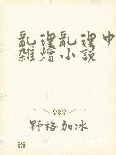 乱理乱理中文大杂烩小说