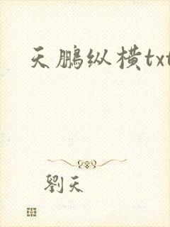 天鹏纵横txt