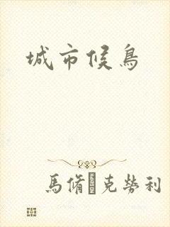 城市候鸟