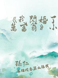 《我闪婚了个亿万富翁》小说