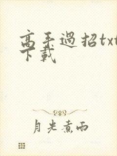 高手过招txt下载