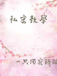 私密教学
