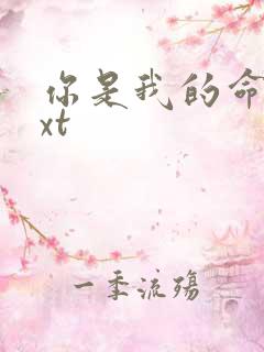 你是我的命运txt