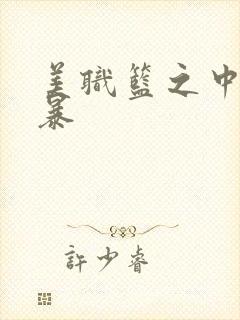 美职篮之中国风暴