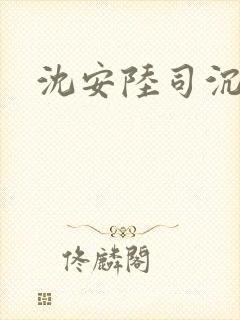 沈安陆司沉小说