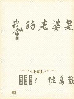 我的老婆是黑社会