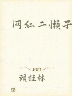 网红二懒子车祸