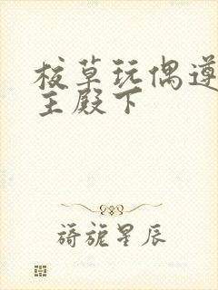 校草玩偶遵命公主殿下