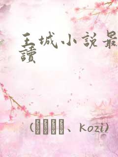王城小说最近阅读