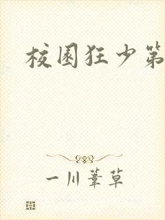 校园狂少第二部