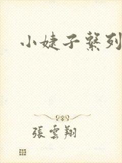 小婕子系列小说