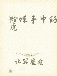 粉蝶手中的纸老虎