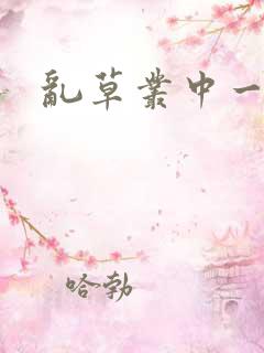 乱草丛中一杆枪