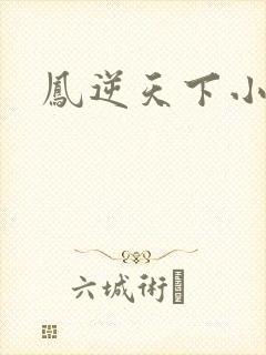 凤逆天下小说